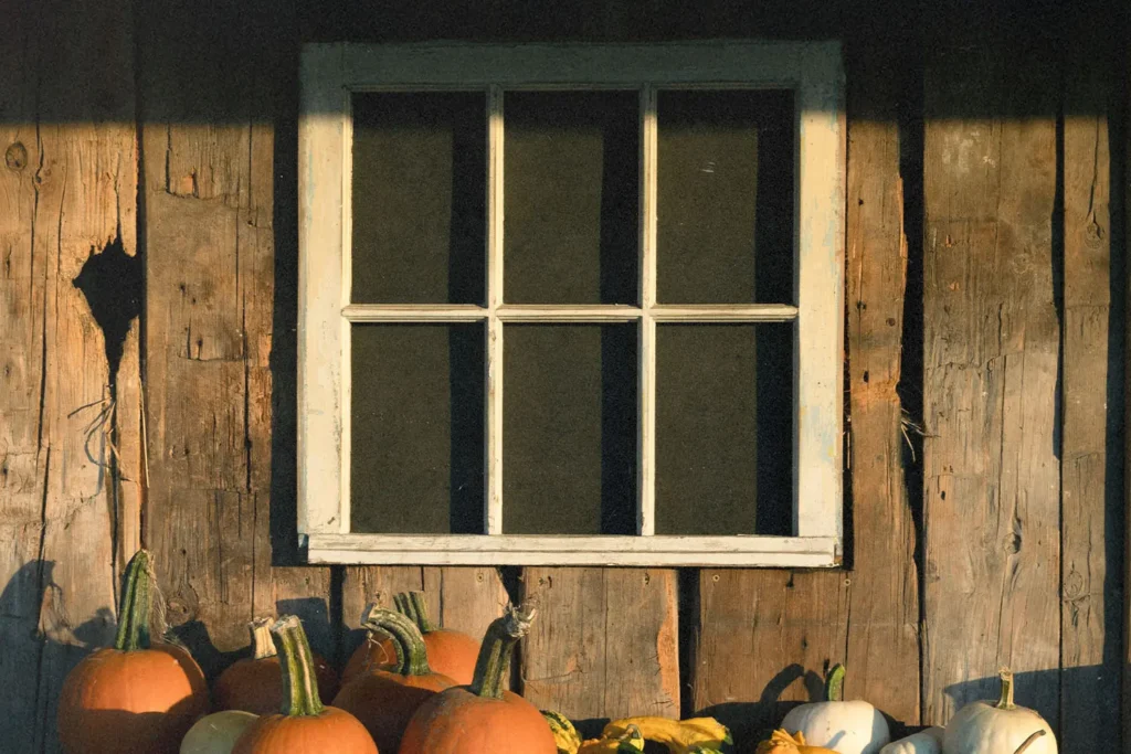 Assorted pumpkins arranged below a small window on the exterior wall of a rustic wooden building