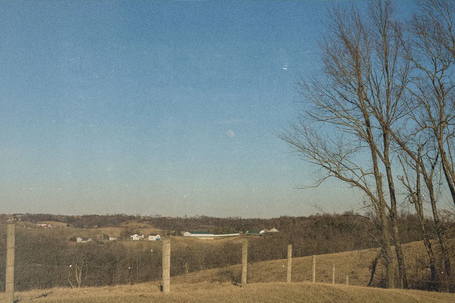 How can I find peace?