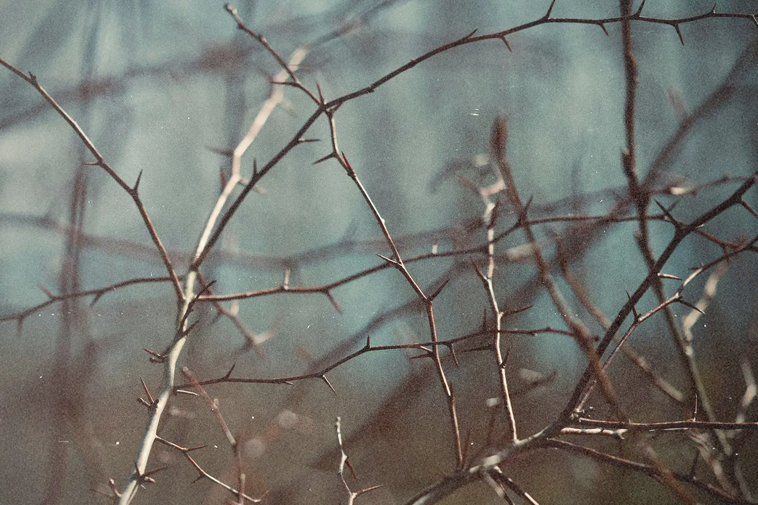 Did the Apostle Paul have a sickness from God?