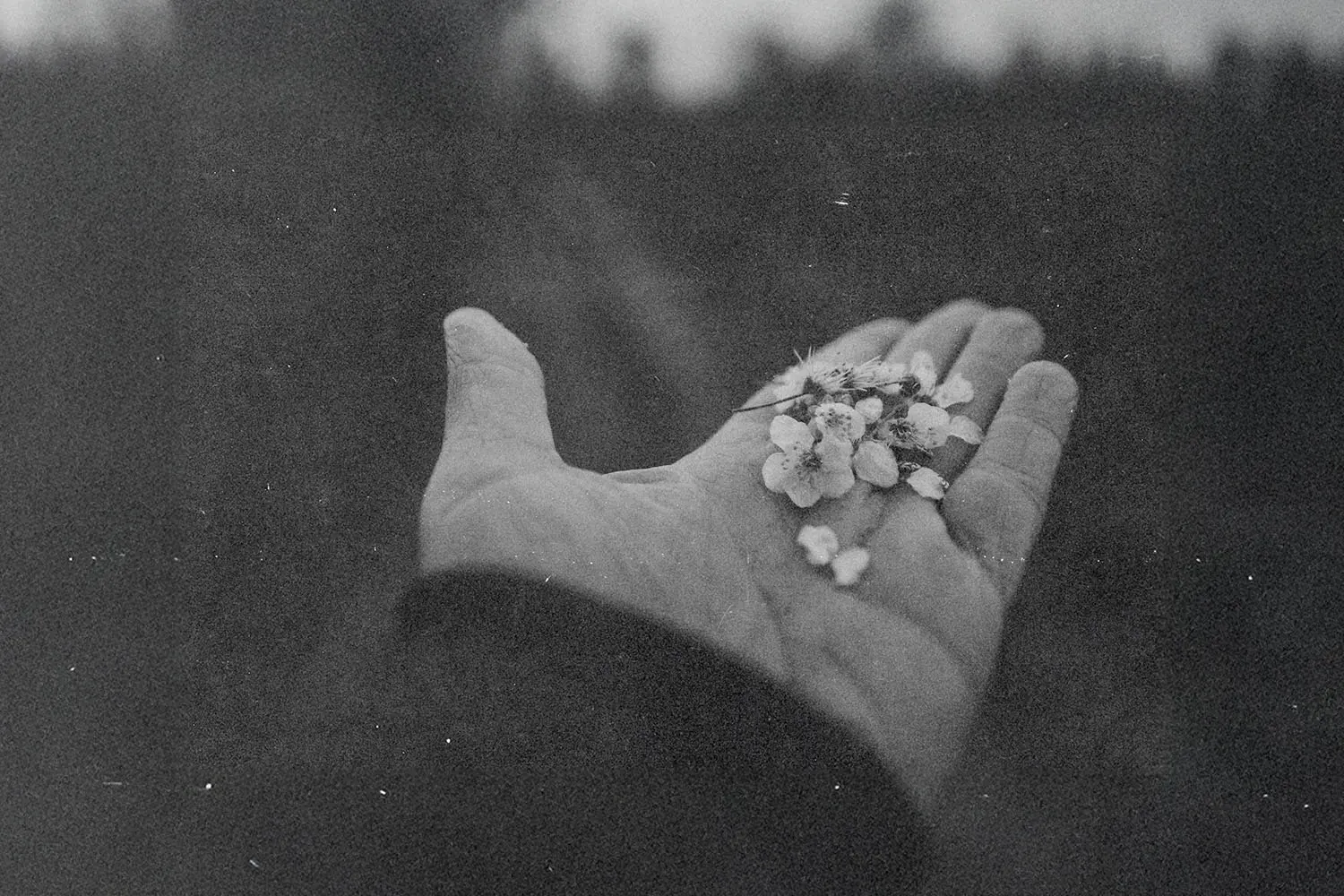 Can the hundredfold return apply to the tithe?