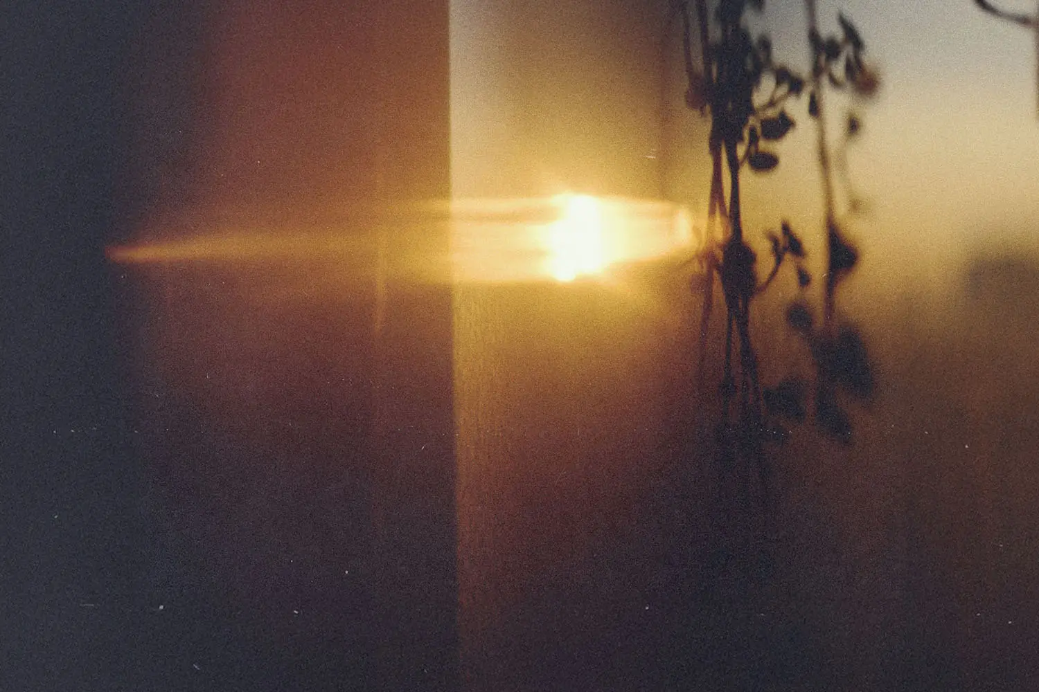 Should I expect to die for Jesus?