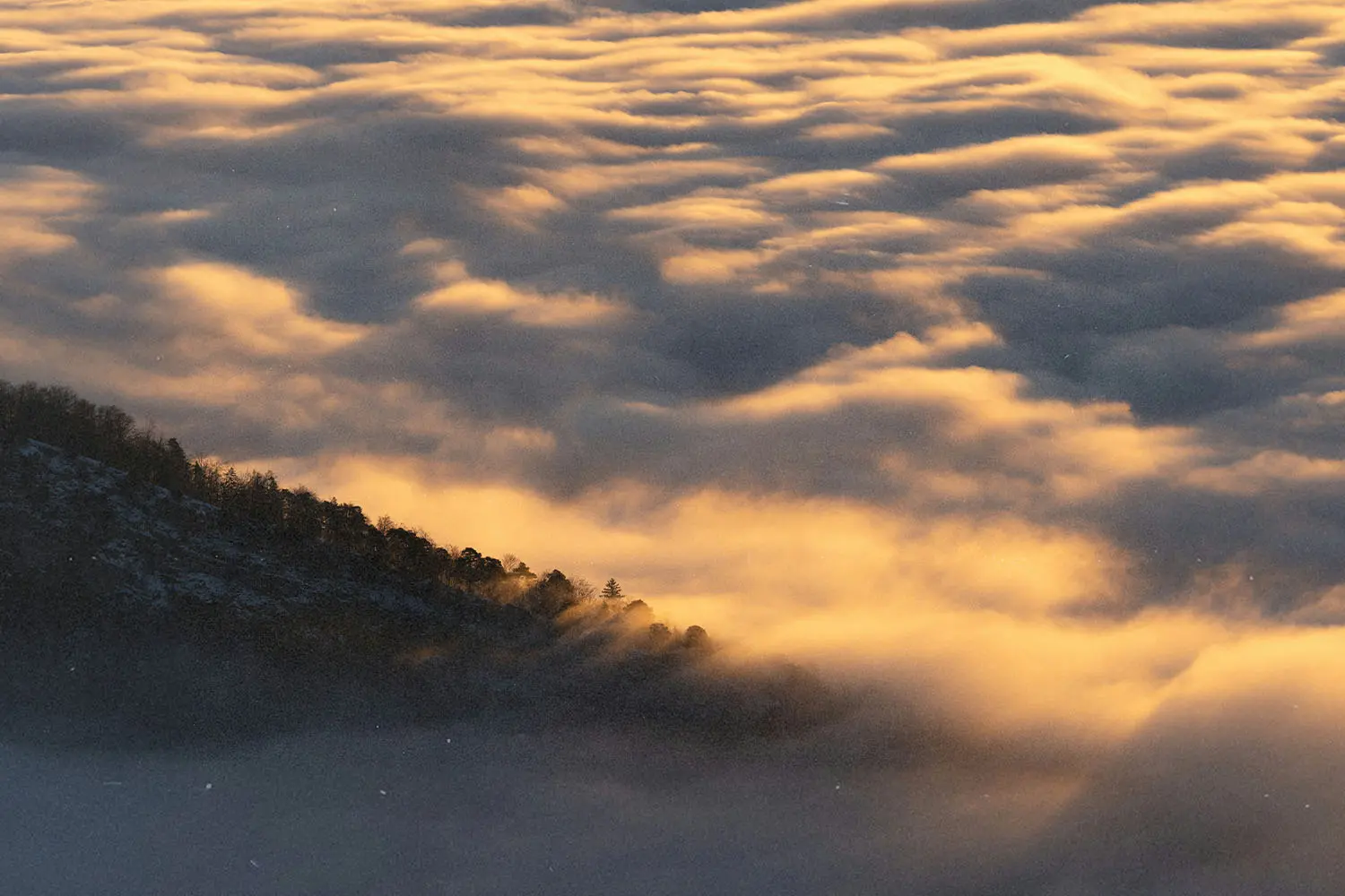 Golden clouds blanket a mountain landscape at sunrise or sunset, with warm light streaming across the ridges