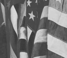 black and white photo of usa flags