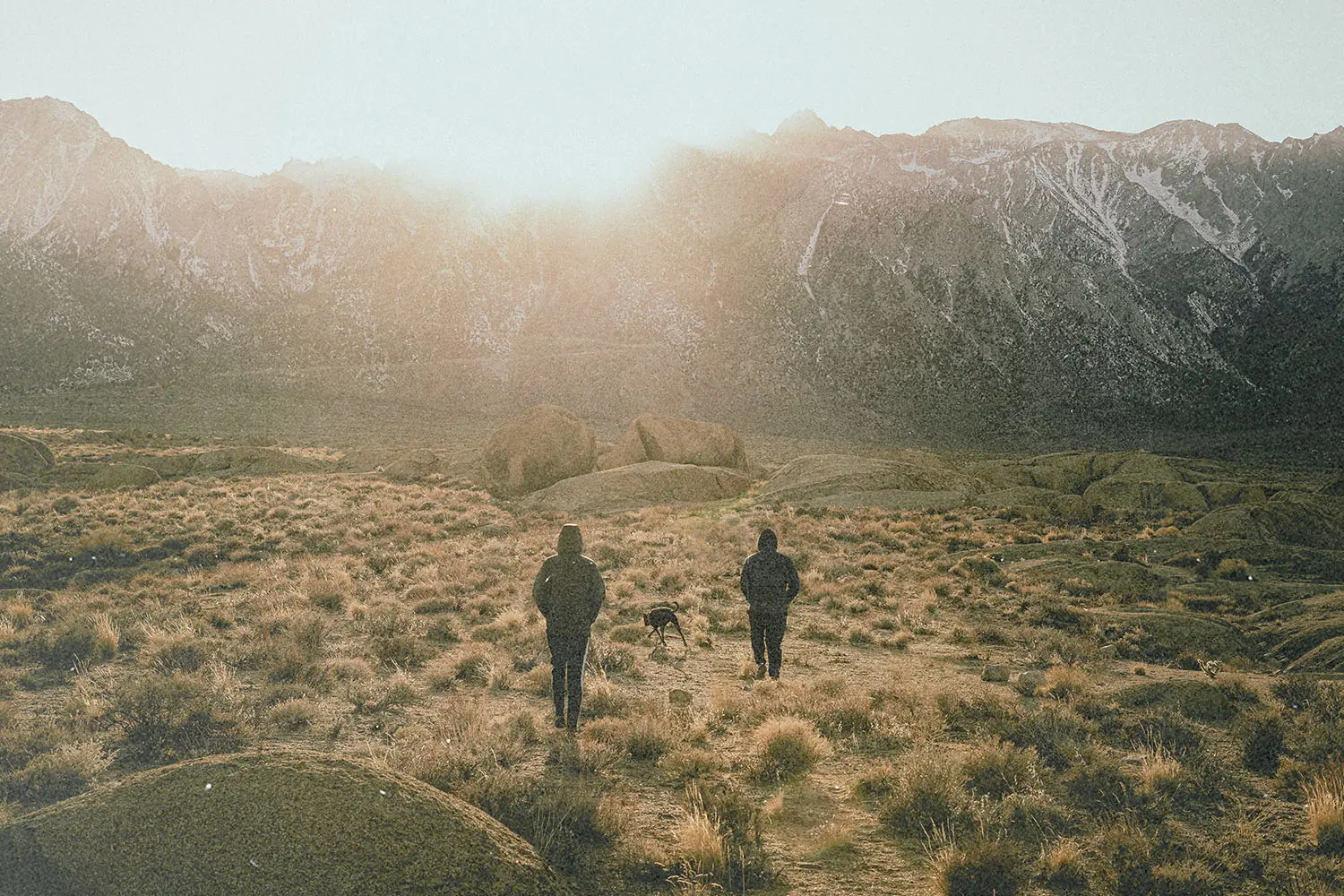 Will my pet be in heaven?