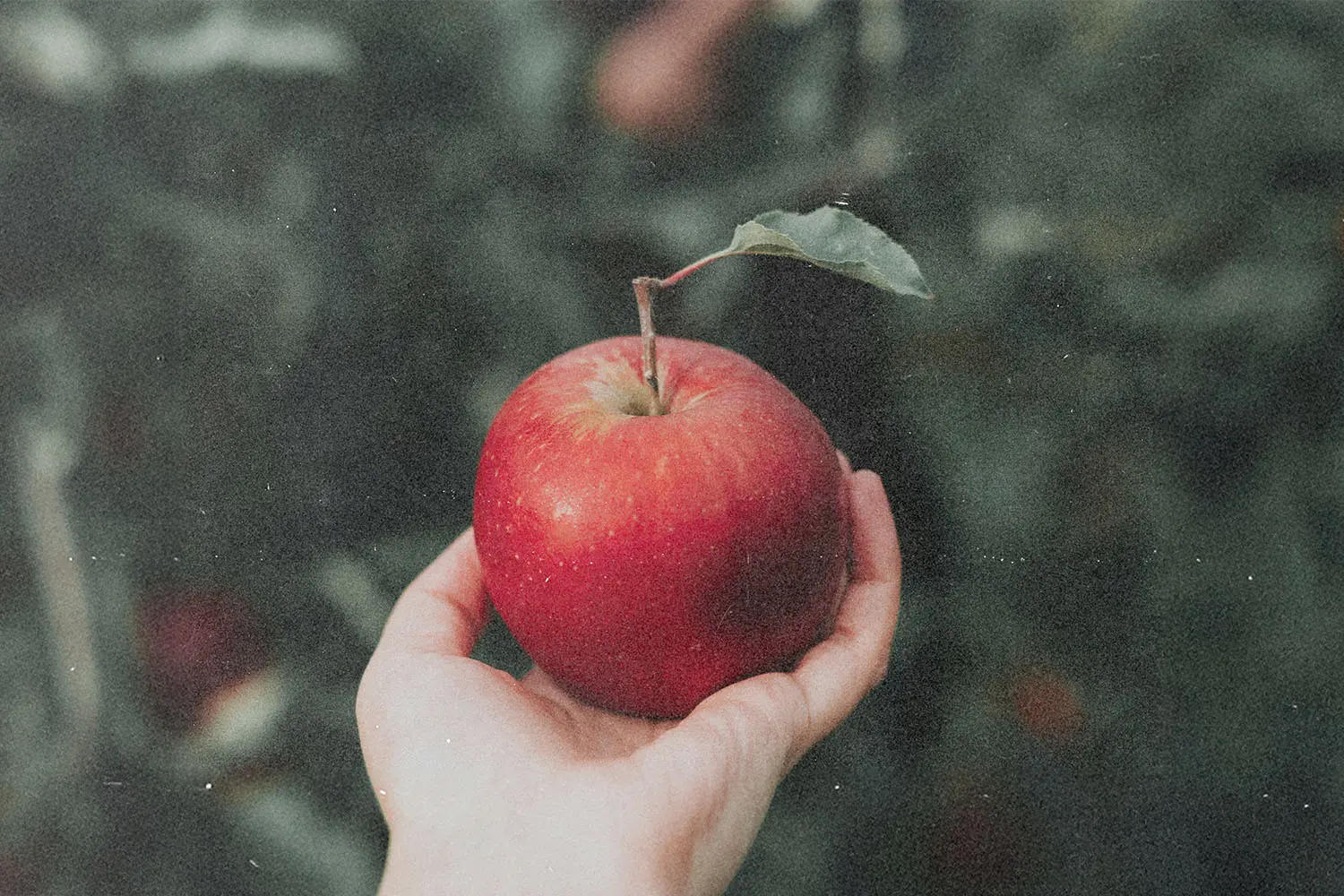 Why did God make us so we could sin?