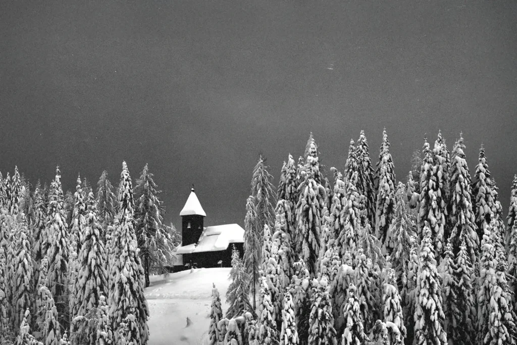 black and white photo of a church like building in the middle of a snowy forest