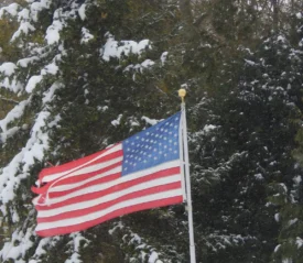American flag flying with snowy pine trees in the background