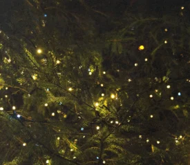 lit christmas tree close up