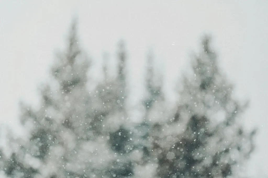snow falling with a blurred background of tree tops