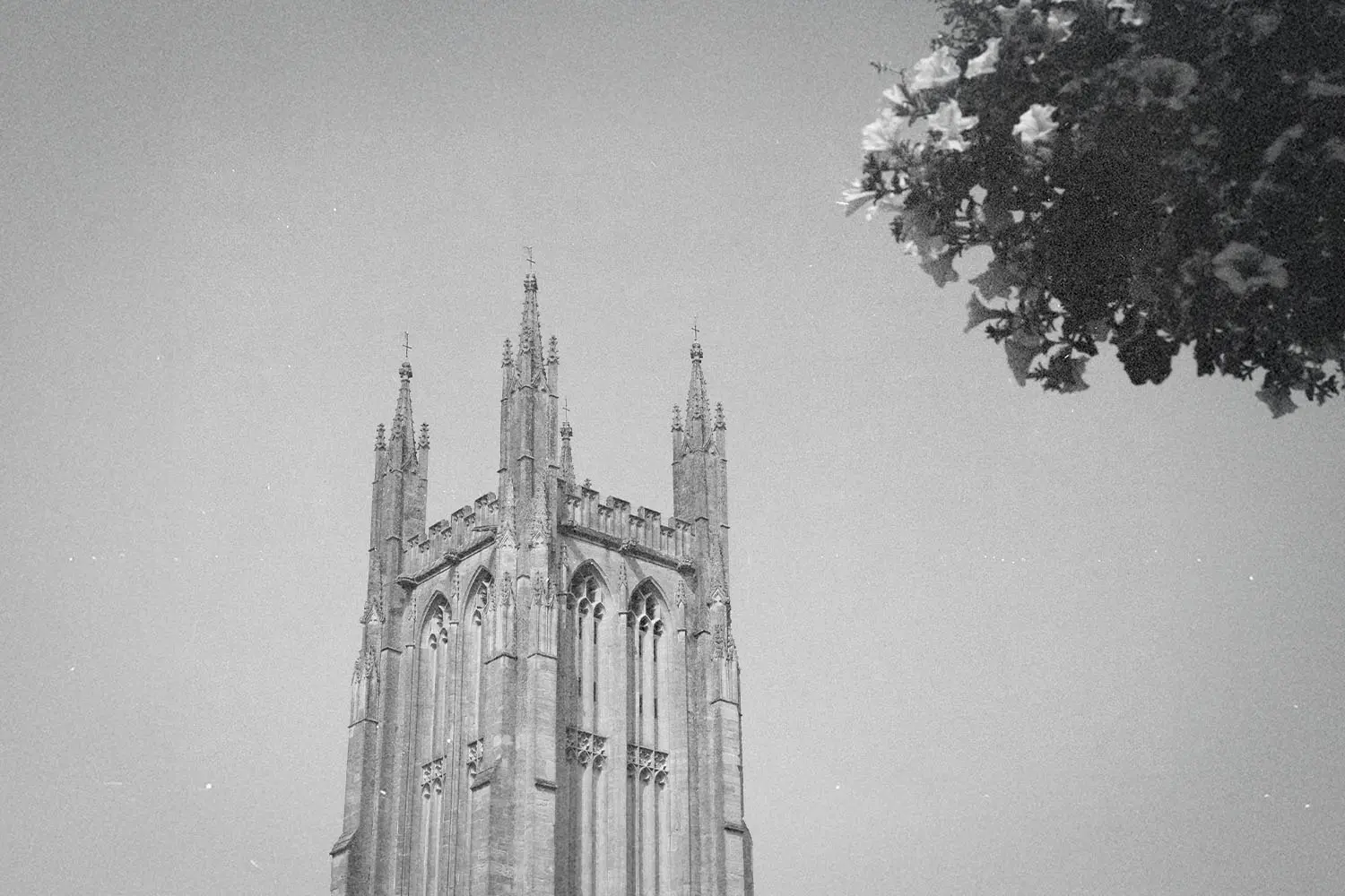 What is the true Church?