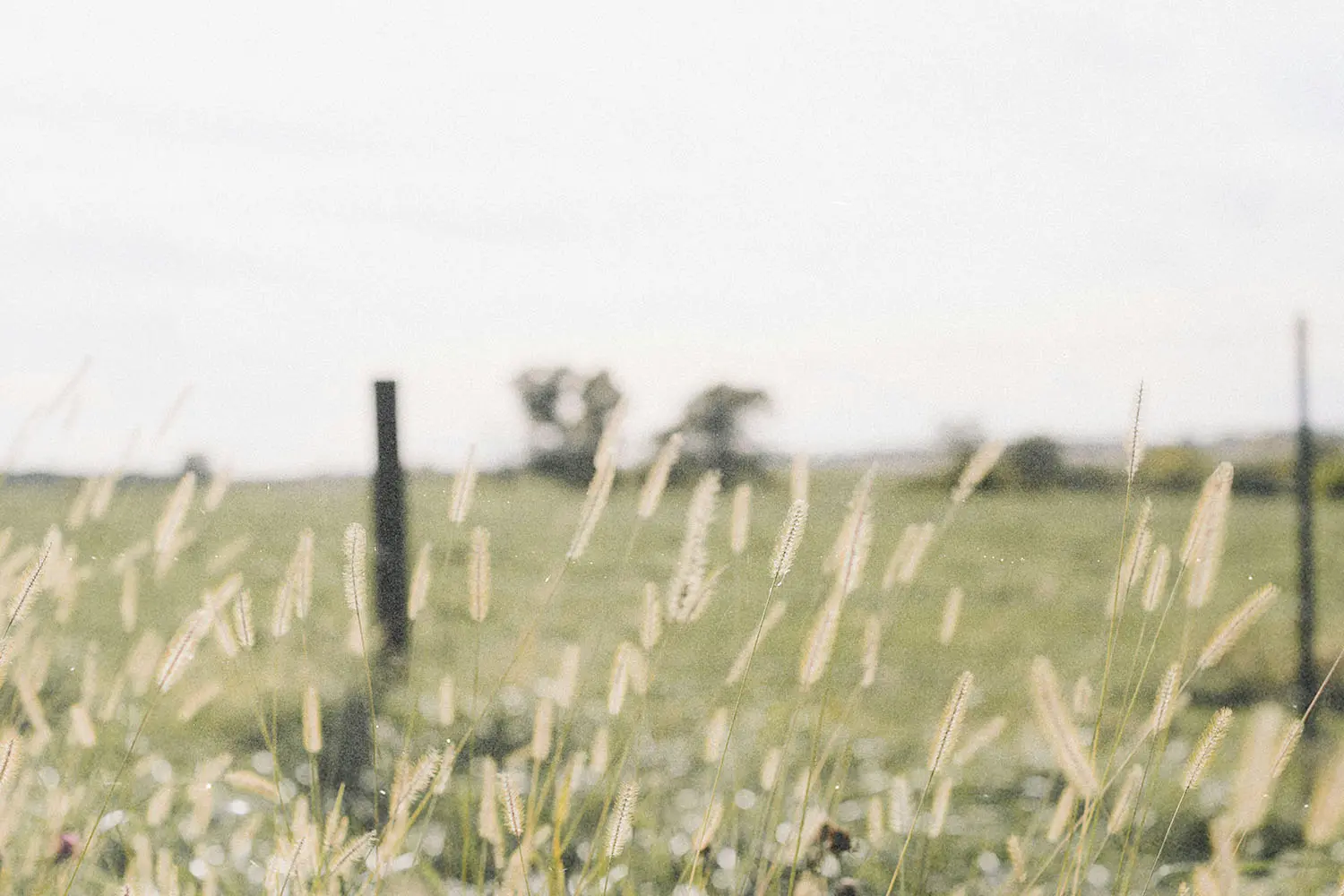 When it comes to sowing and reaping, what’s a seed?