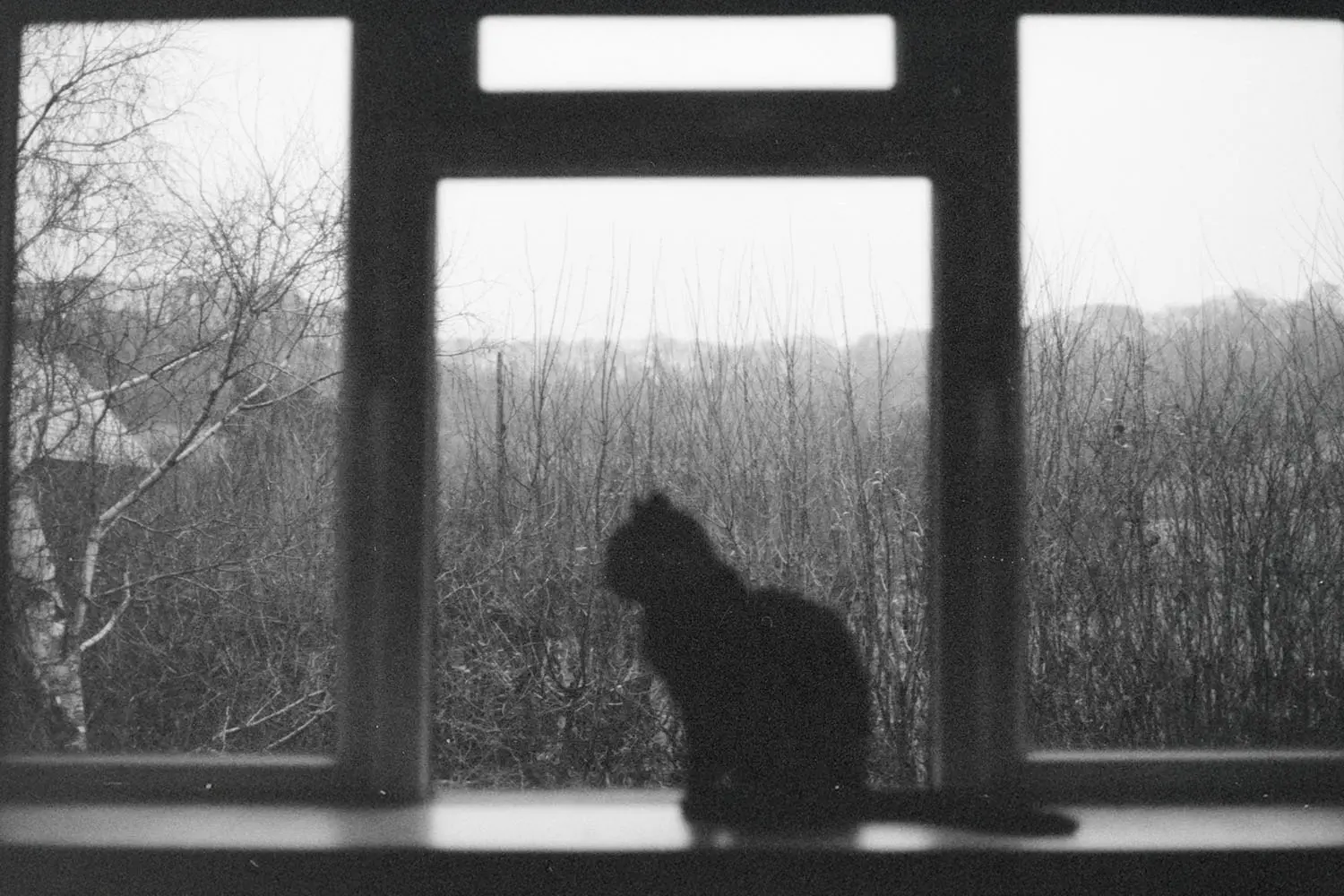 Do curses still exist?