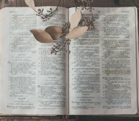 Open Bible on a wooden table with dried leaves and small branches resting across its pages