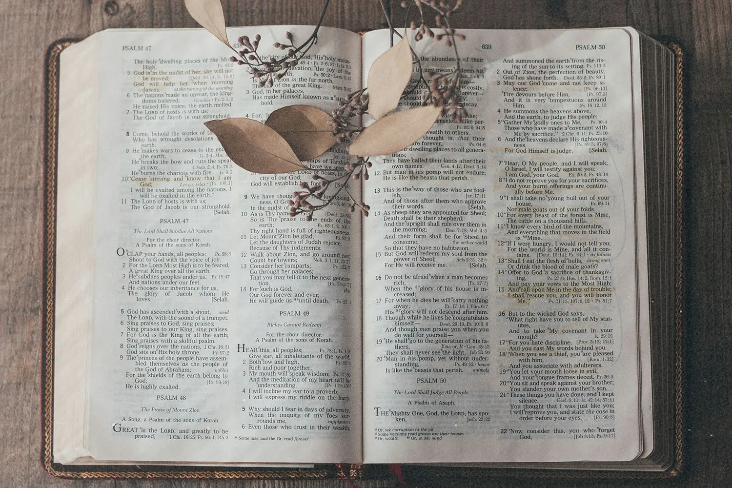 Open Bible on a wooden table with dried leaves and small branches resting across its pages
