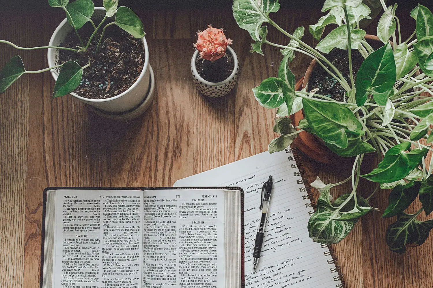 Open Bible on a wooden table beside a notebook and pen, surrounded by potted plants