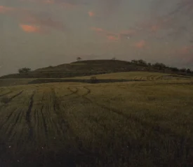 A wide field of tall grass stretches toward a low hill under a sky with soft pink clouds at dusk