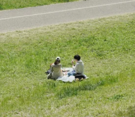 children picnicking in the grass