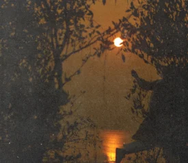 Silhouette of a person jumping near a lakeshore at sunset, framed by trees with warm golden light reflecting on the water