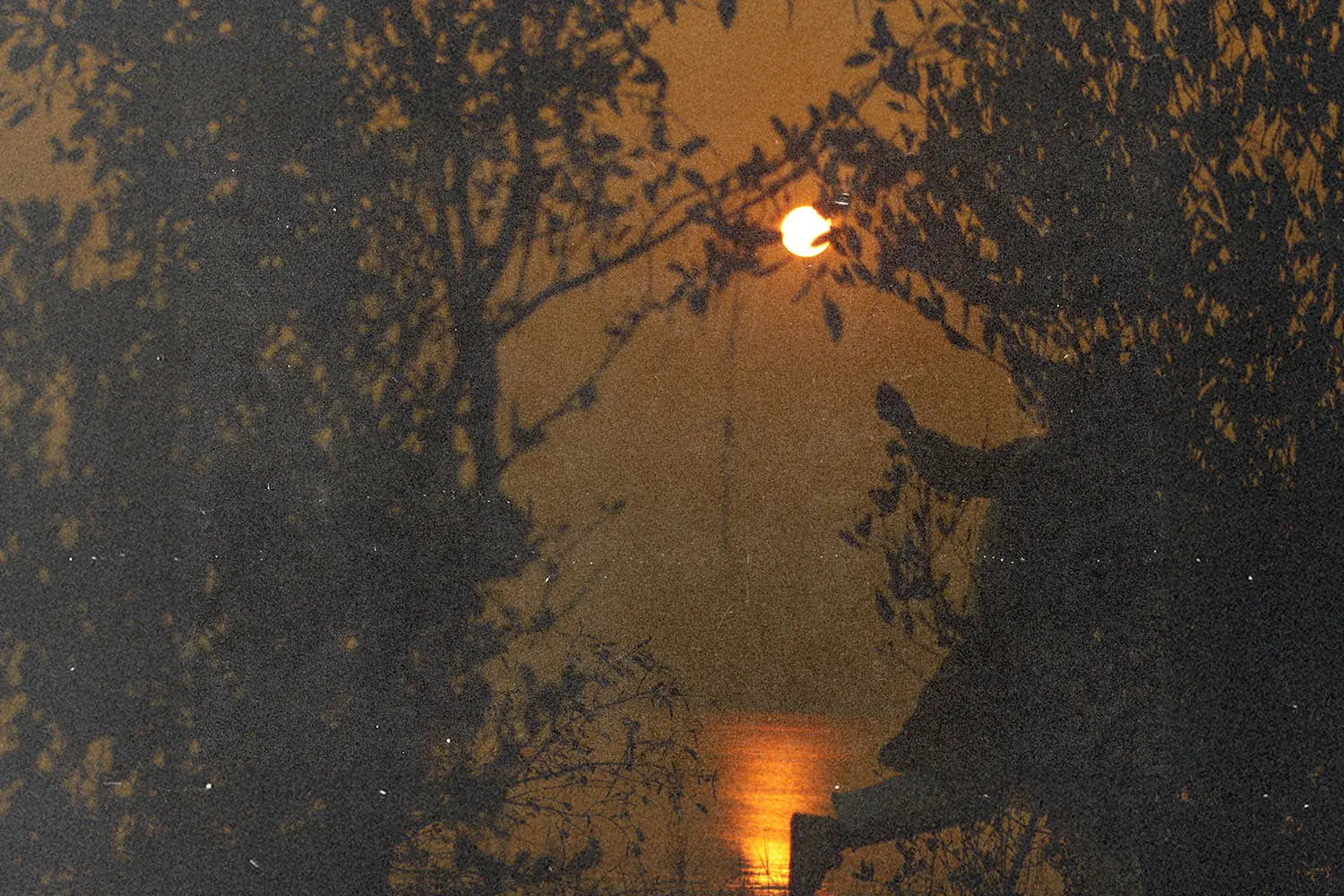 Silhouette of a person jumping near a lakeshore at sunset, framed by trees with warm golden light reflecting on the water