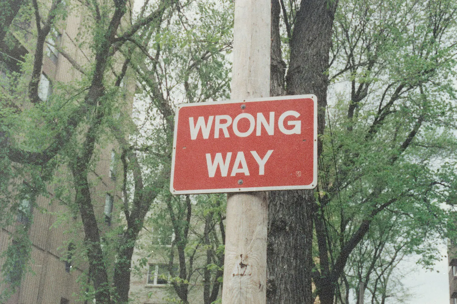 Red “WRONG WAY” road sign mounted on a wooden pole with leafy trees and buildings in the background