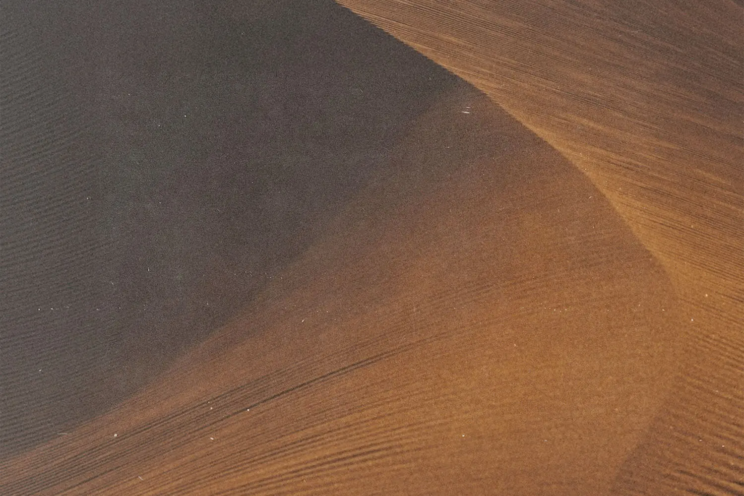 Curved sand dune ridge highlighted by soft light with fine wind‑shaped textures