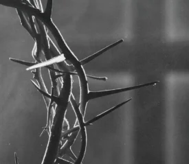 Close-up of a crown of thorns in dramatic lighting against a soft, blurred cross in the background.