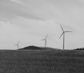 three windmills in an open field