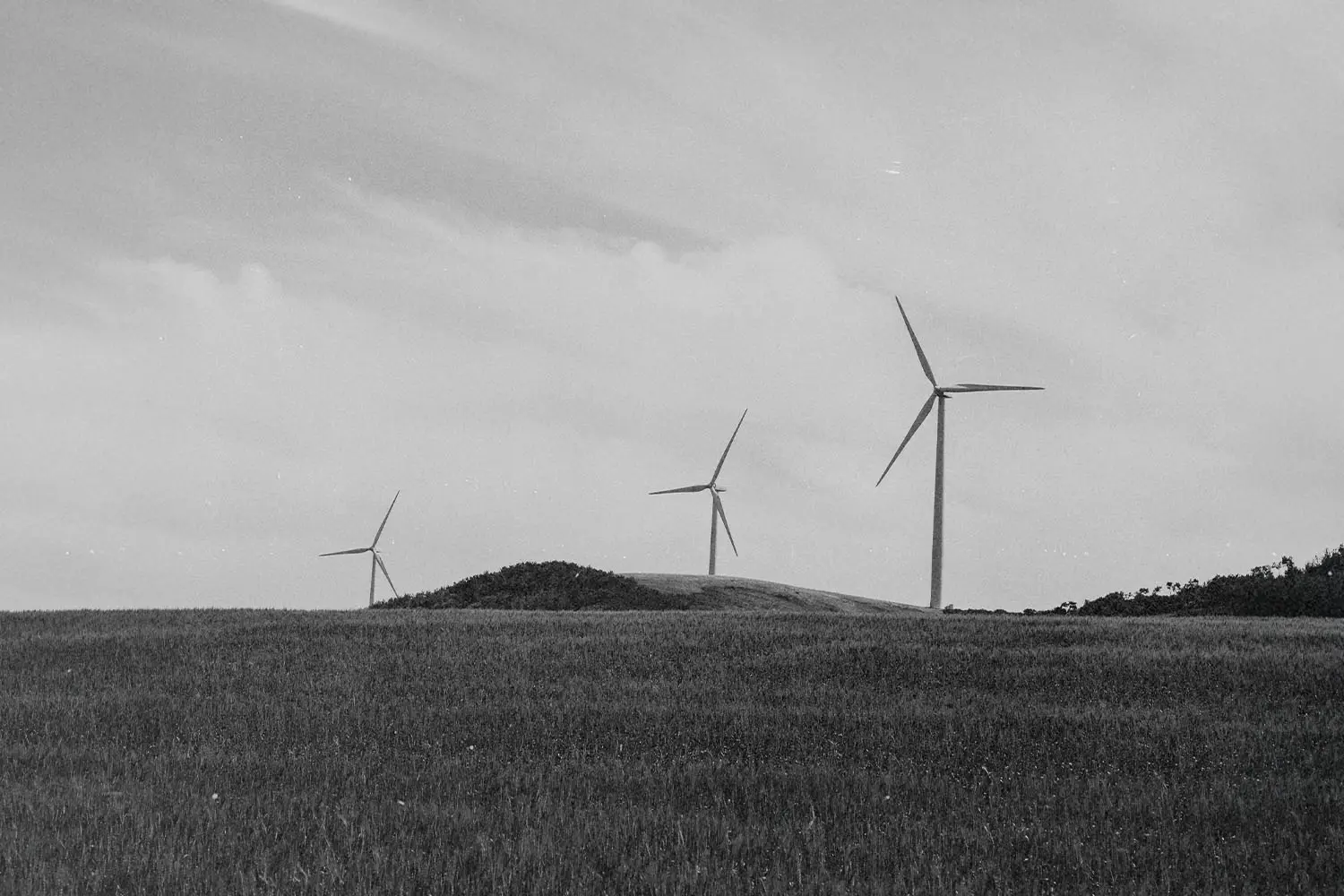 three windmills in an open field