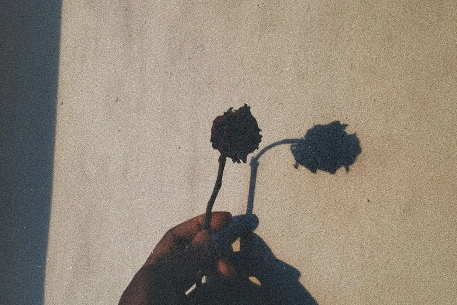 I'm struggling to forgive someone. Can you help me?