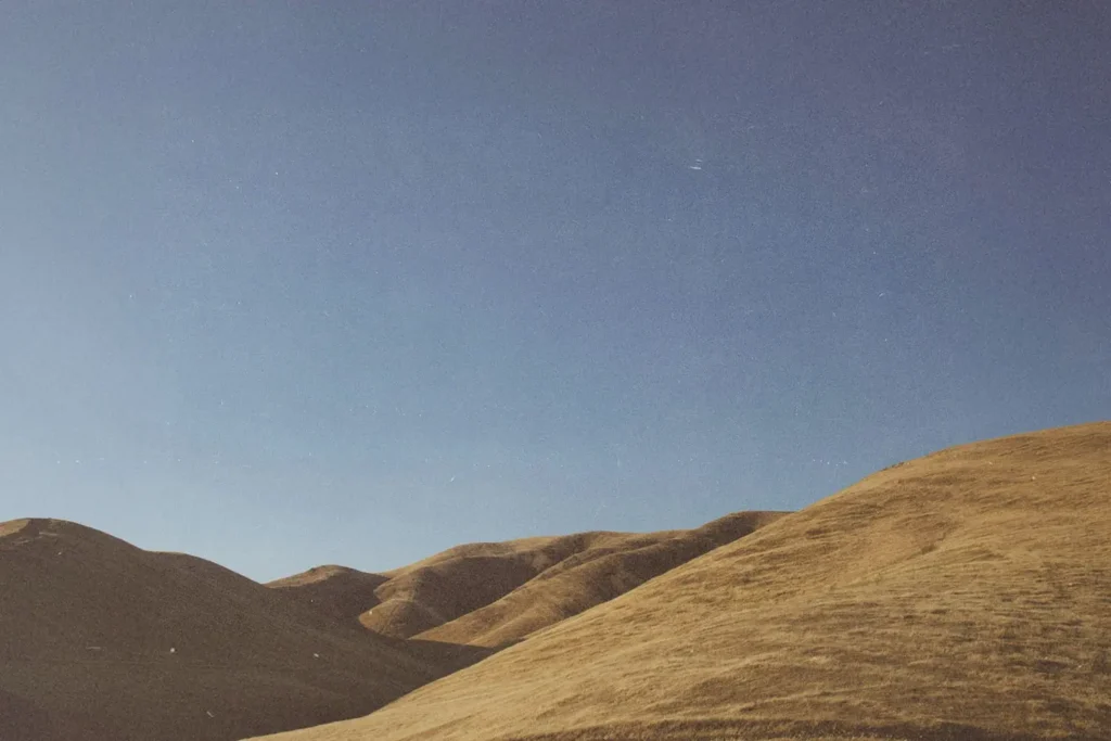 Golden rolling hills under a clear blue sky in warm afternoon light