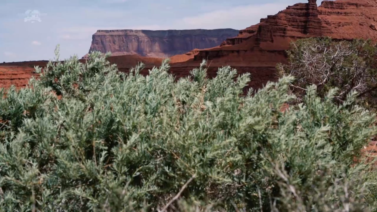 Faith Obeys Spiritual Laws