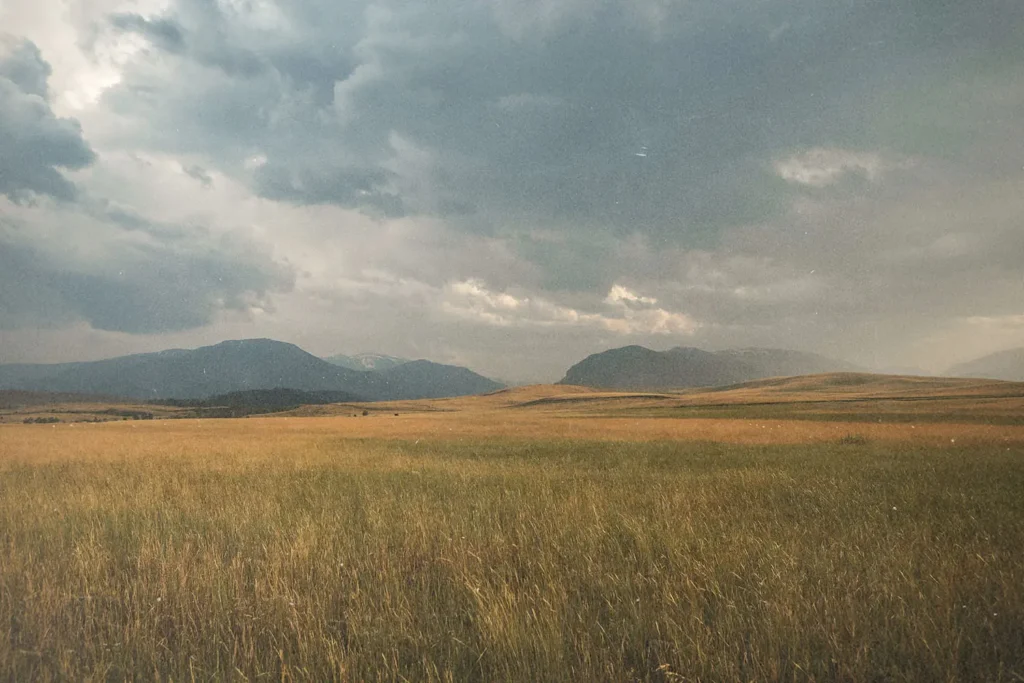 Wide open field of golden grass under a dramatic, cloud‑filled sky with distant mountains on the horizon