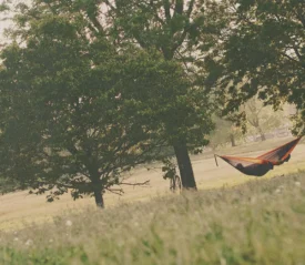 Person resting in an orange-and-blue hammock strung between two large trees in a grassy field on a warm, hazy day