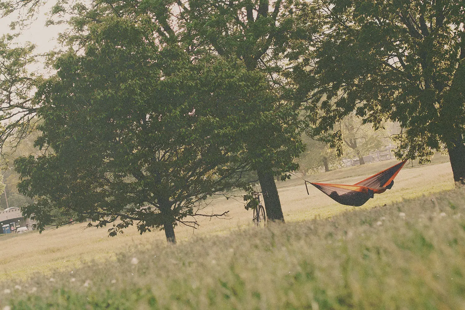 Person resting in an orange-and-blue hammock strung between two large trees in a grassy field on a warm, hazy day