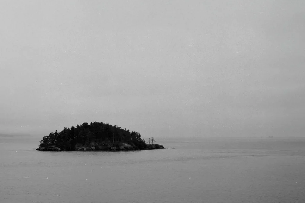 Small tree‑covered island surrounded by calm water in a quiet, overcast black‑and‑white scene