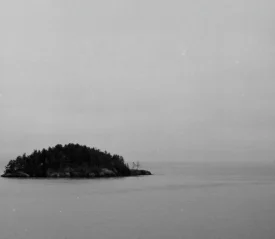 Small tree‑covered island surrounded by calm water in a quiet, overcast black‑and‑white scene
