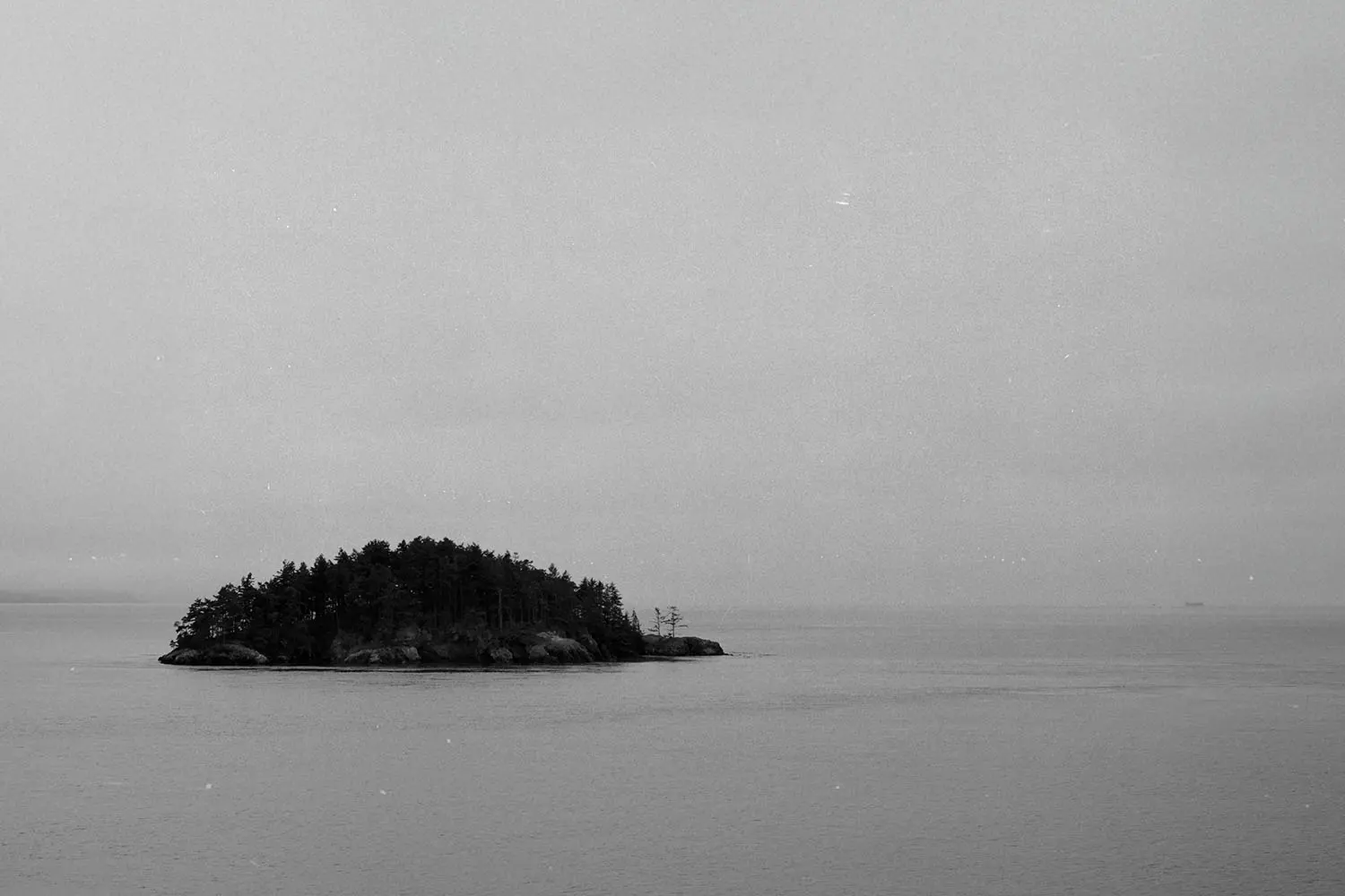 Small tree‑covered island surrounded by calm water in a quiet, overcast black‑and‑white scene