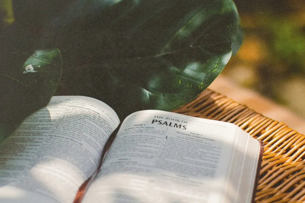 An open Bible displaying the Book of Psalms rests on a woven surface with large green leaves casting shadows nearby