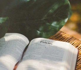 An open Bible displaying the Book of Psalms rests on a woven surface with large green leaves casting shadows nearby