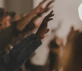 Group of hands lifted