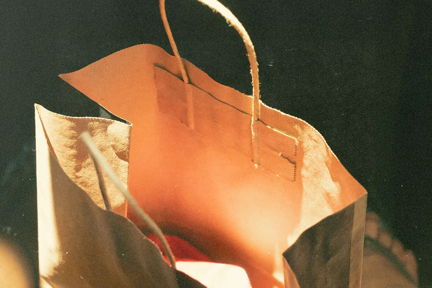 A paper shopping bag lit by warm sunlight, showing its open top and twisted handles