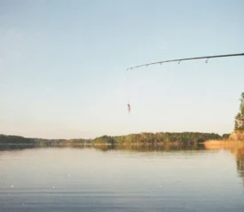 Fishing line with bait hanging over a calm lake at sunset, with trees reflecting on the water