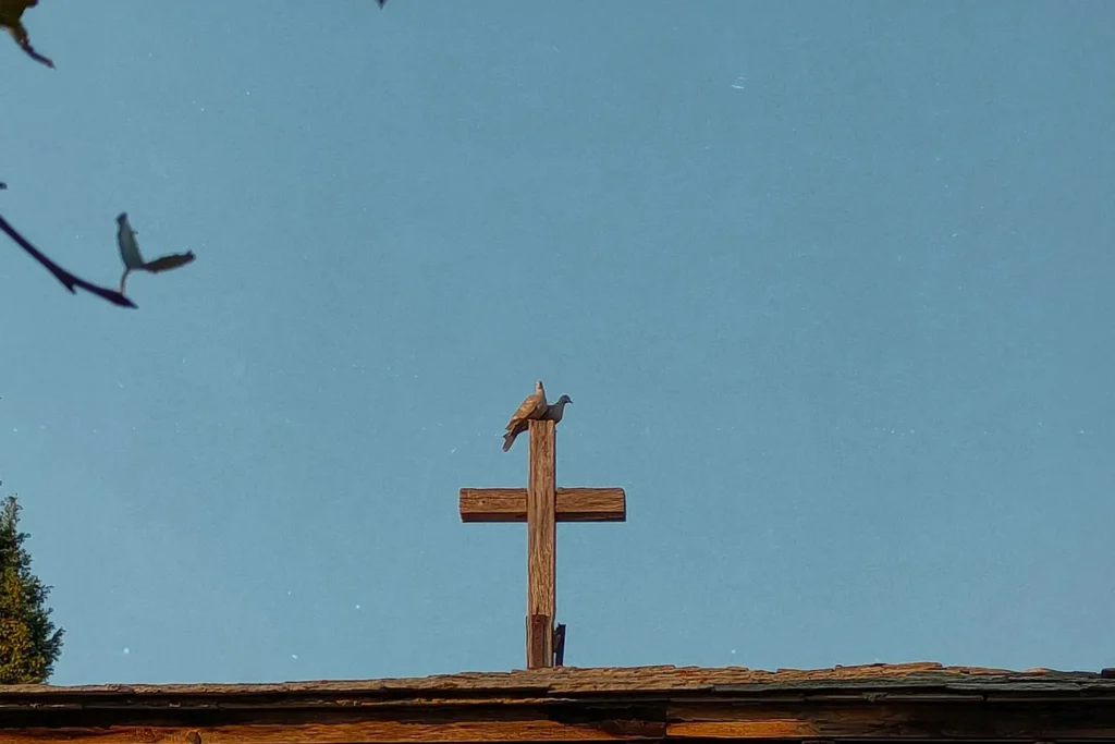 Quail sitting on top of a wooden cross
