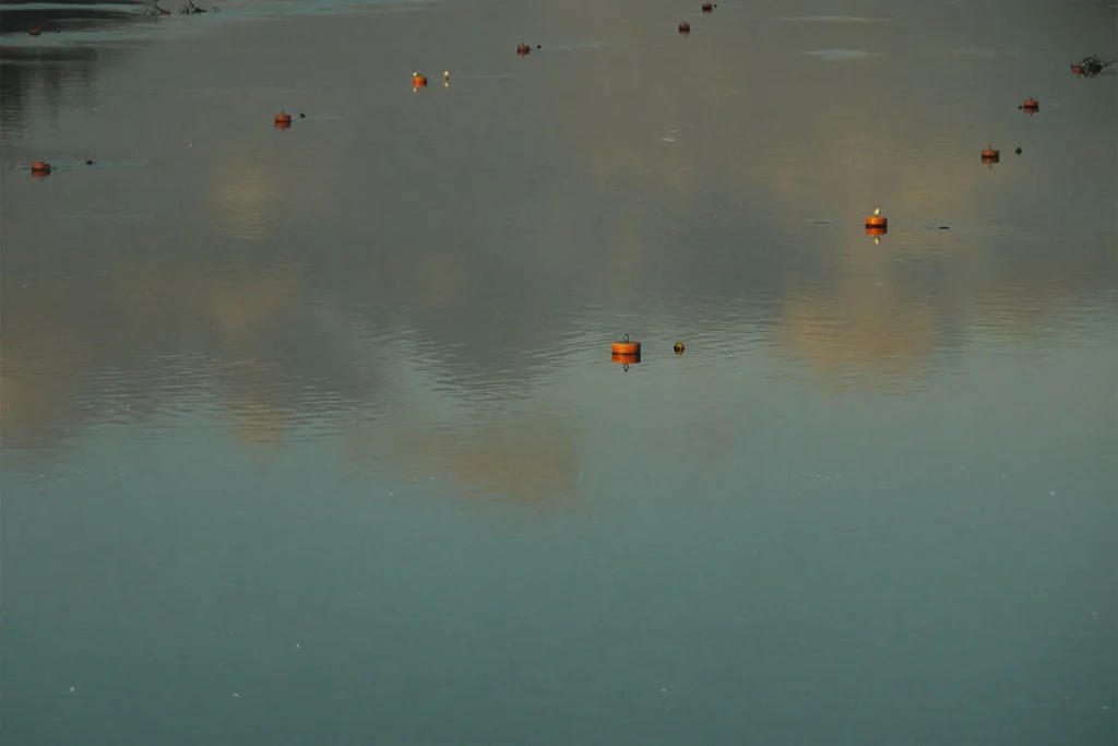 Lake with buoys
