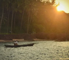 Man in a kayak on a lake with trees in the background