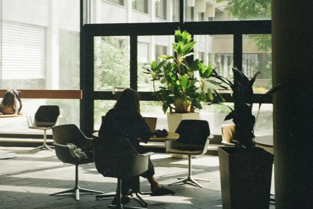 Person sitting at a table in a bright indoor lounge area, working on a laptop near large windows and potted plants