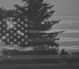Transparent American flag in front of a background of trees