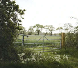Closed gate to open land