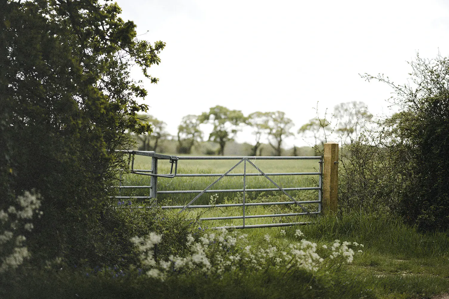 Closed gate to open land