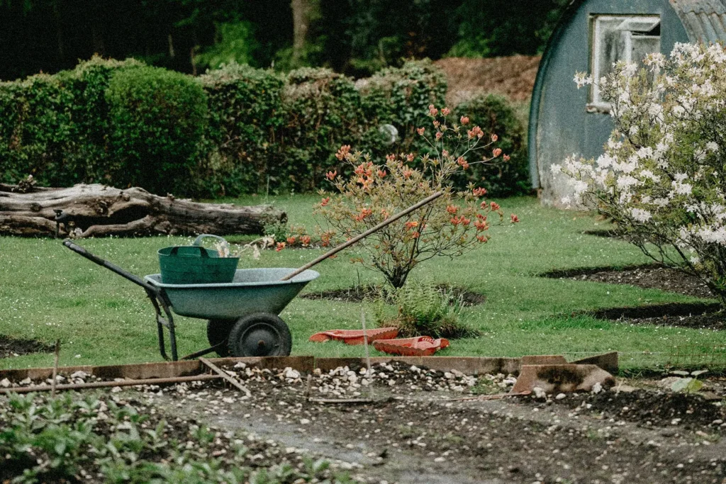 Garden with wheelbarrow